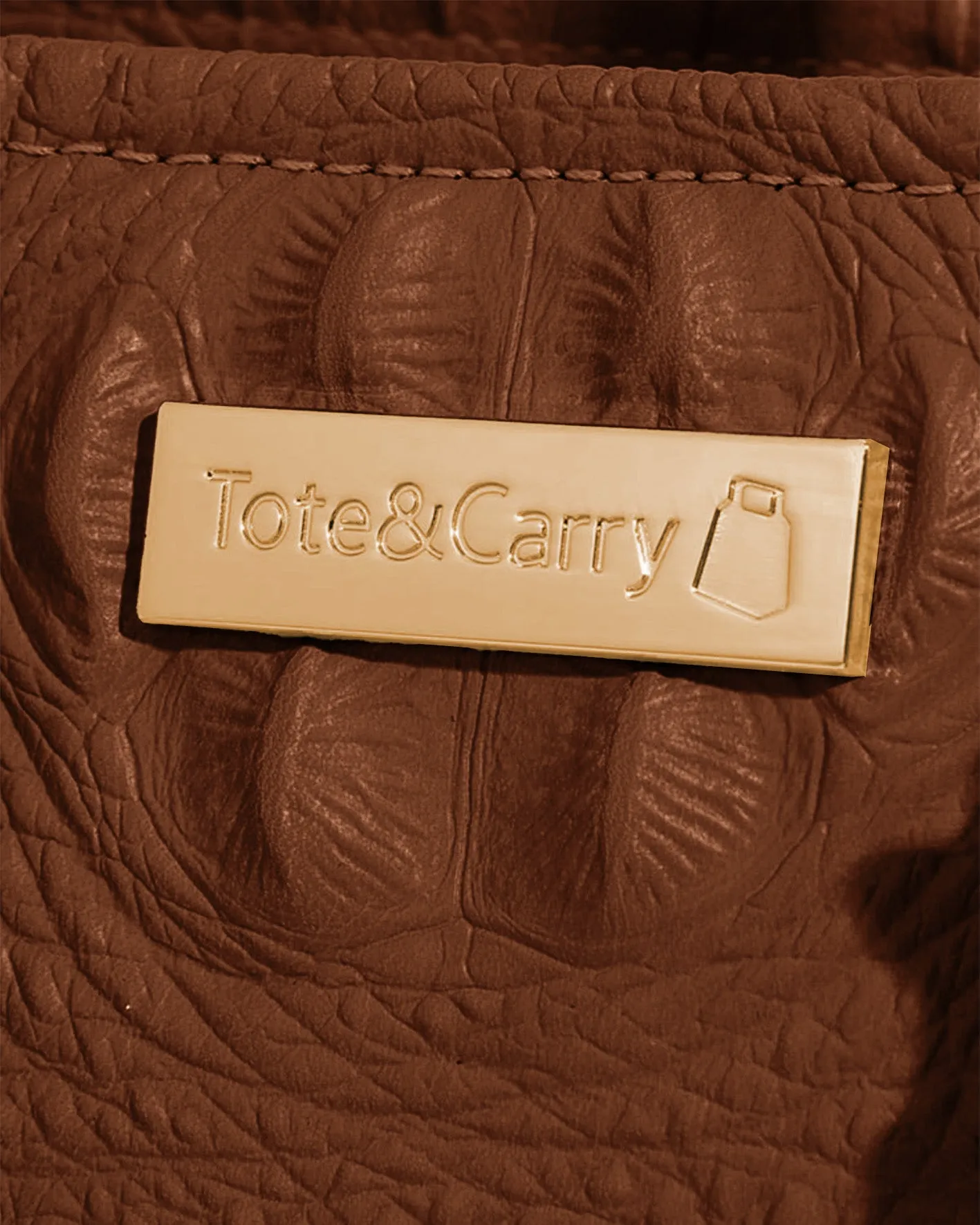 Apollo 2 Mini Tote Bag in Brown