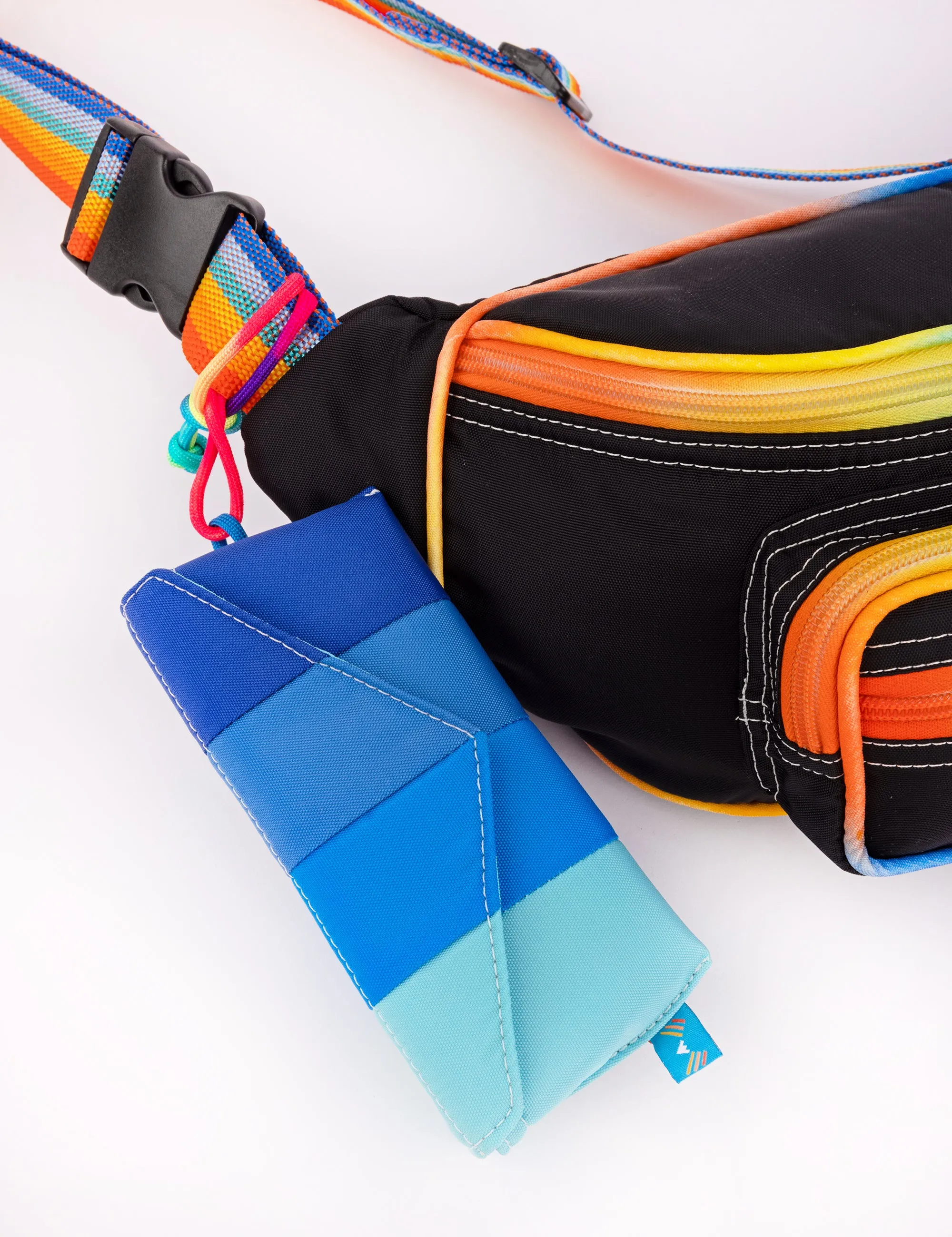 Blue Bird Sunglasses Case