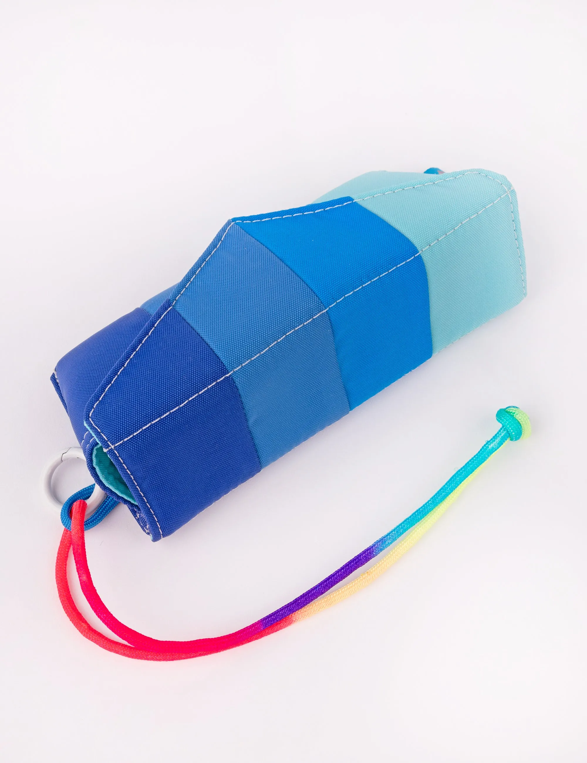 Blue Bird Sunglasses Case