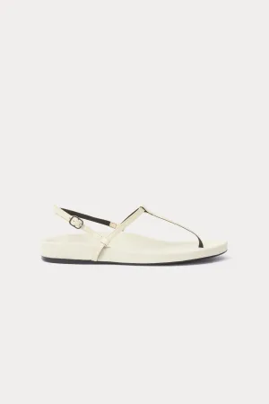 Zeus Sandal